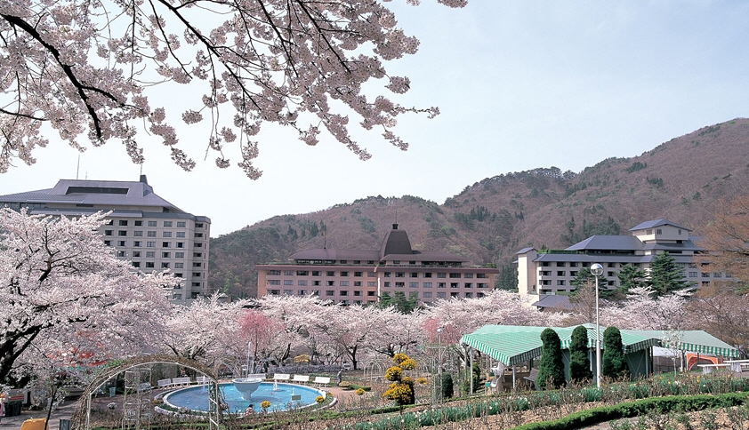 花巻温泉 桜 情報 花巻温泉ウエディング スタッフブログ